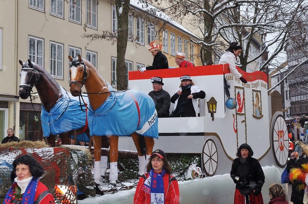 Karnevalsumzug 3   090.jpg